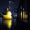 Rubber Duck