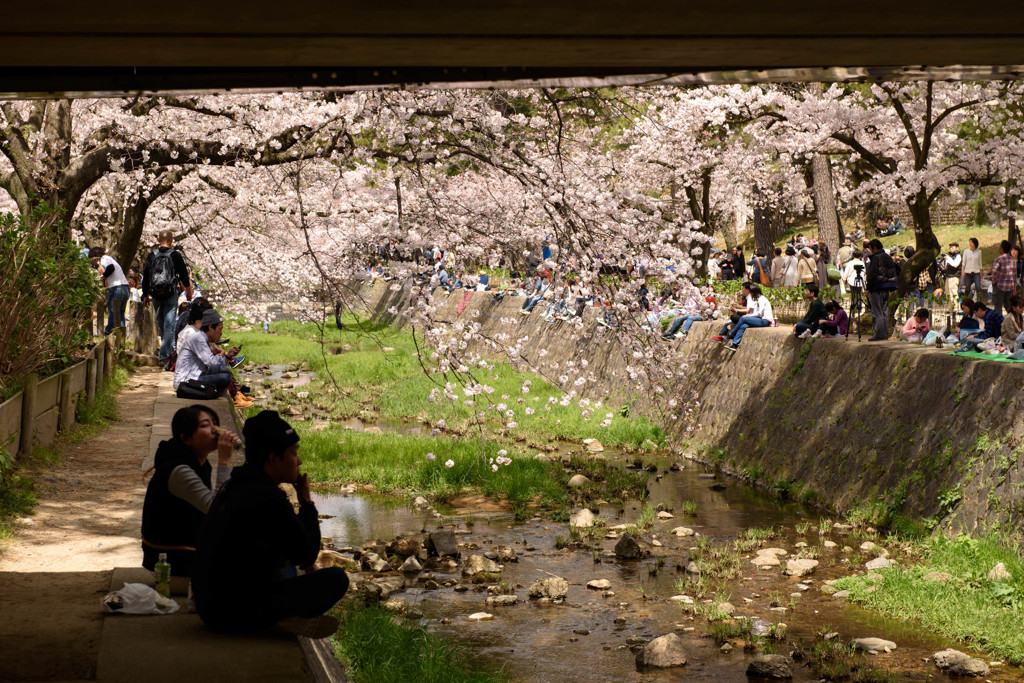 Hanami