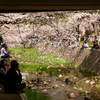 Hanami