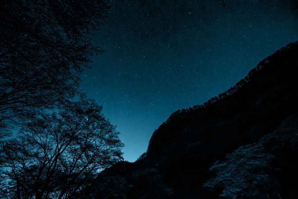 静かな夜