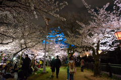 夜桜　～大阪城西の丸庭園～