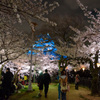夜桜　～大阪城西の丸庭園～