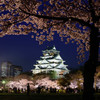 夜桜と大阪城