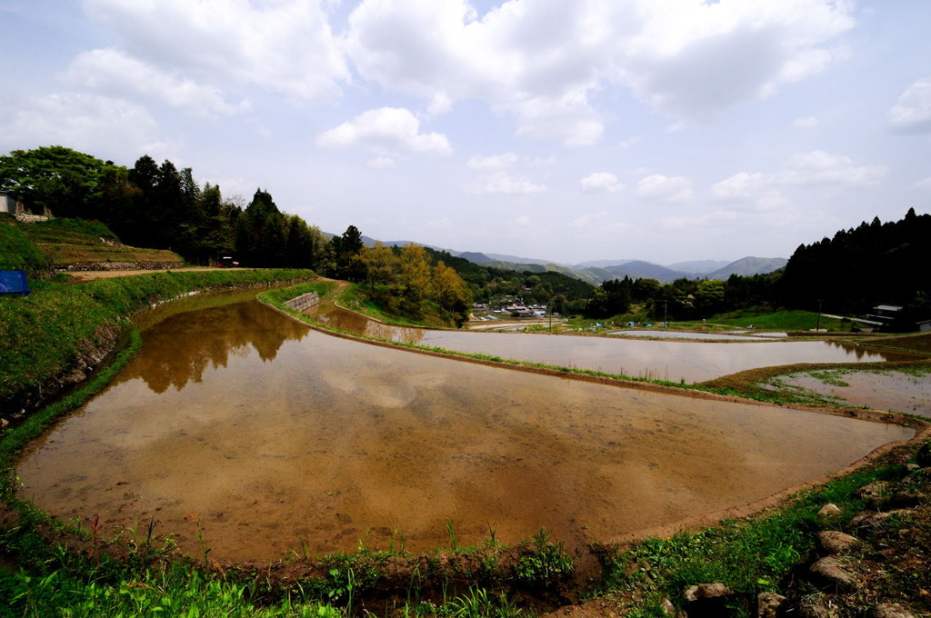 吹く風心地よし