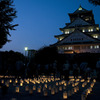大阪城 城灯りの景