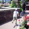 荒牧 Rose #7