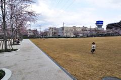さくら広場