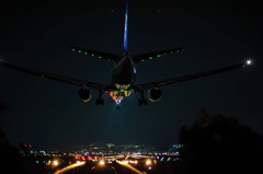 Night Landing