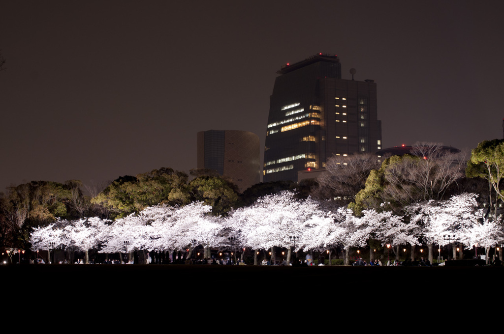 桜の木の下で