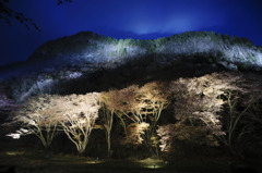 蒼・空・桜・山