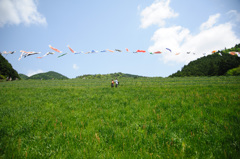 5月の空