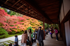 南禅寺 天授庵