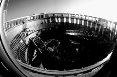 Lumi sky walk in fisheye