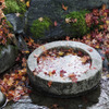 永観堂　7