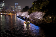 大川の夜桜