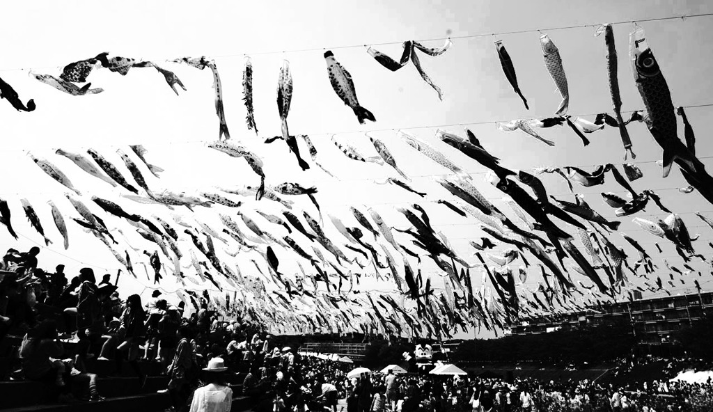 Koinobori Festa