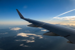 wing