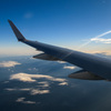 wing