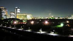 OSAKAJO Park in Night