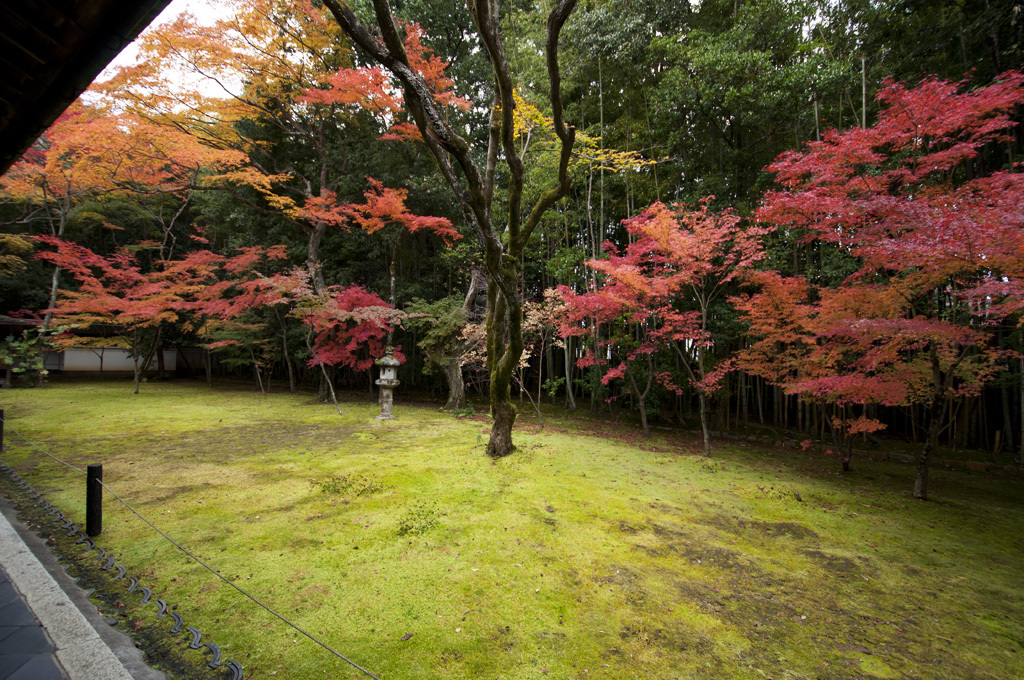 秋色の庭