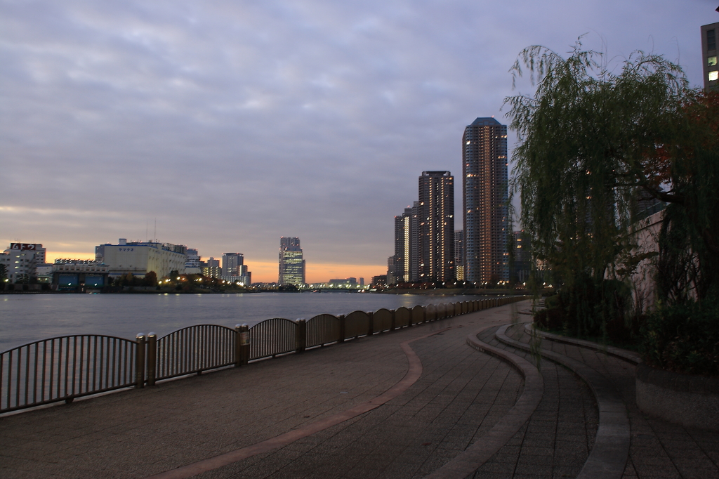 ジョギングコース