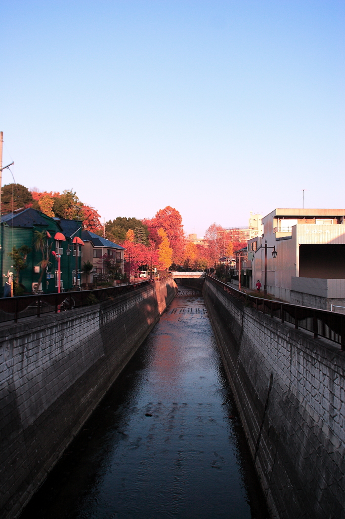 静かなる・・・