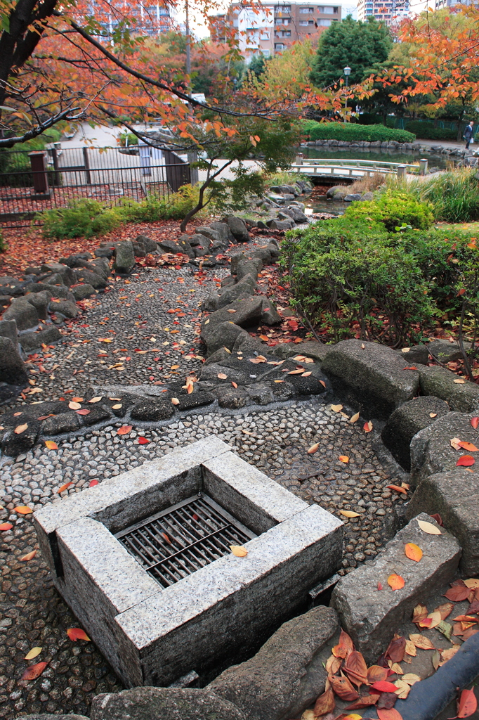 枯れてしもた・・・