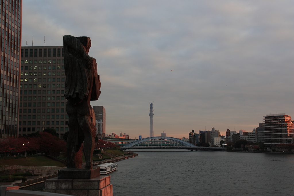 隅田川　中央大橋からのスカイツリー