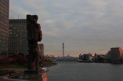 隅田川　中央大橋からのスカイツリー