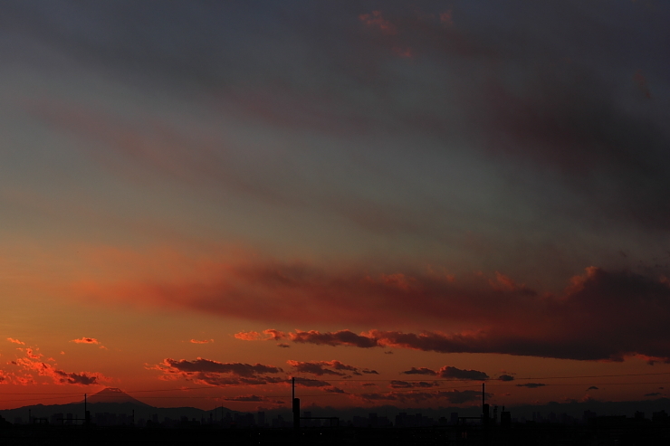 年末の夕暮れ#6