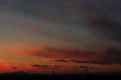 年末の夕暮れ#6