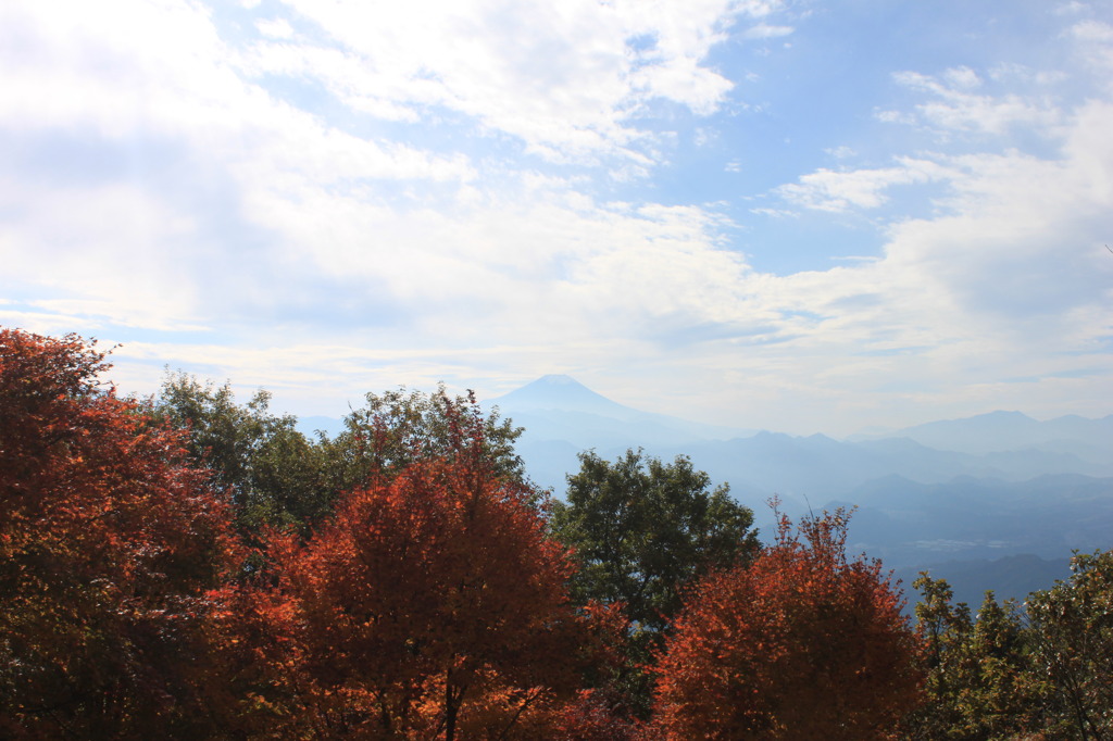 頂上でみた富士山