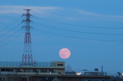 月