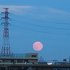 月