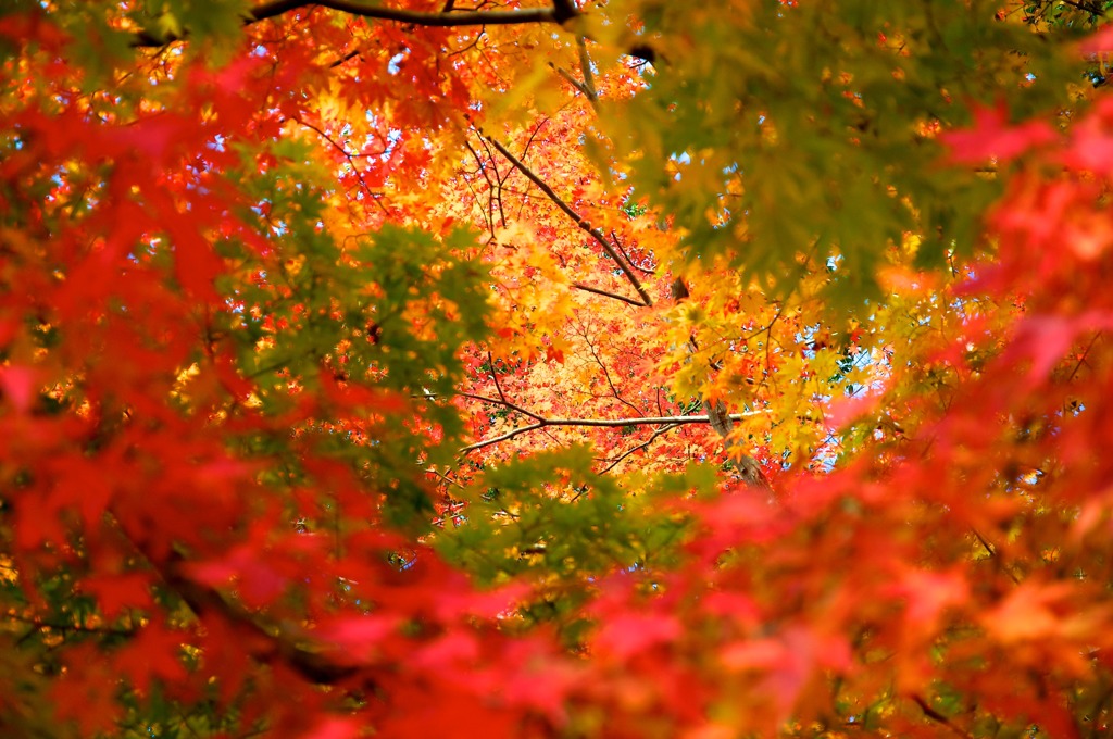 Yellow from Red