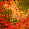 Yellow from Red