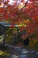 白鳥庭園