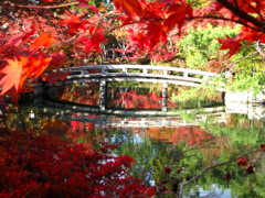 紅葉