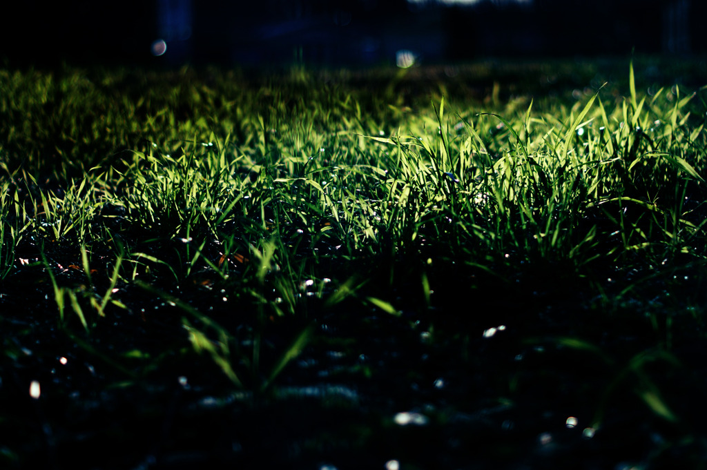 ヒカリのアシアト