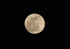 DSC_0310_1