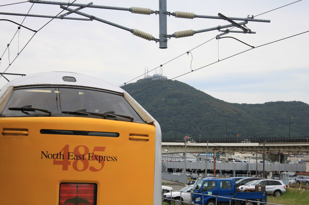 函館山と白鳥