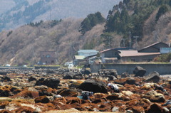 布海苔取りの情景