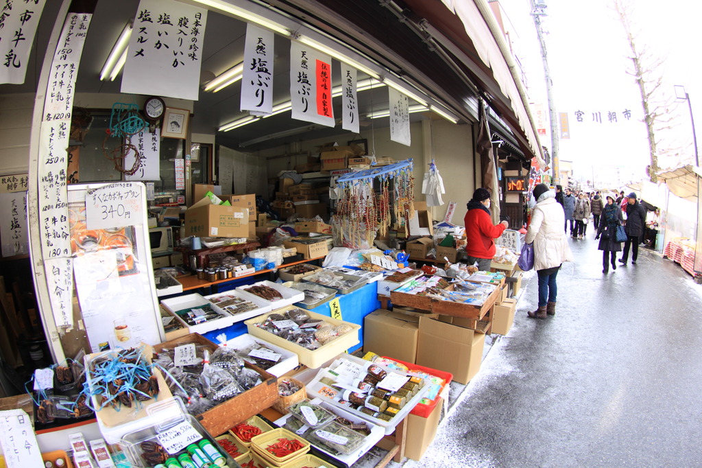 海の魚はどこから？