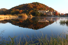 池の紅葉