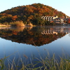 池の紅葉