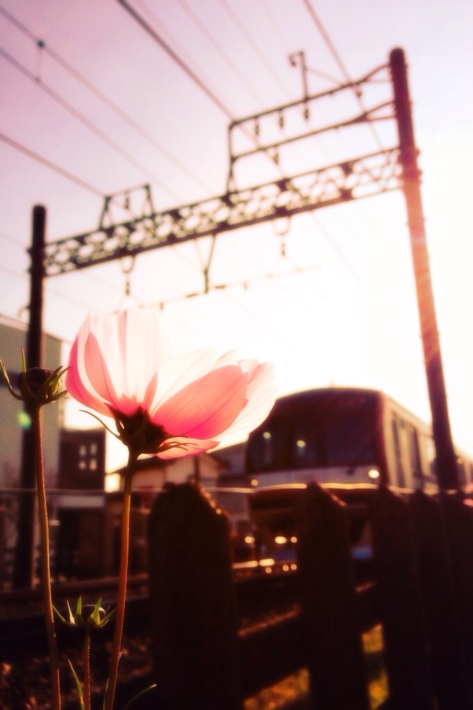 Subway train meets flower