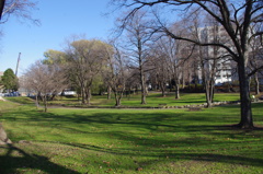 IMGP0662