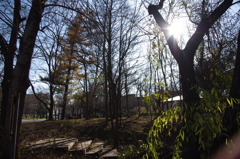 IMGP0654