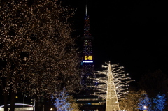 IMGP0743