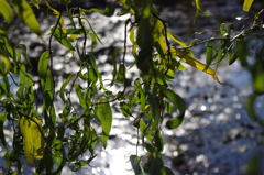IMGP0644